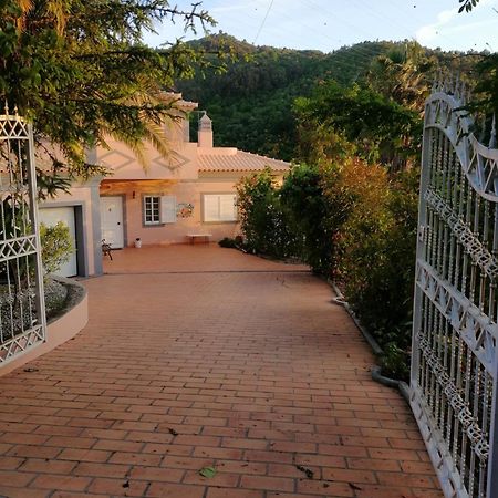 Casa Loureiro - Vista Rio Douro Villa Resende Bagian luar foto