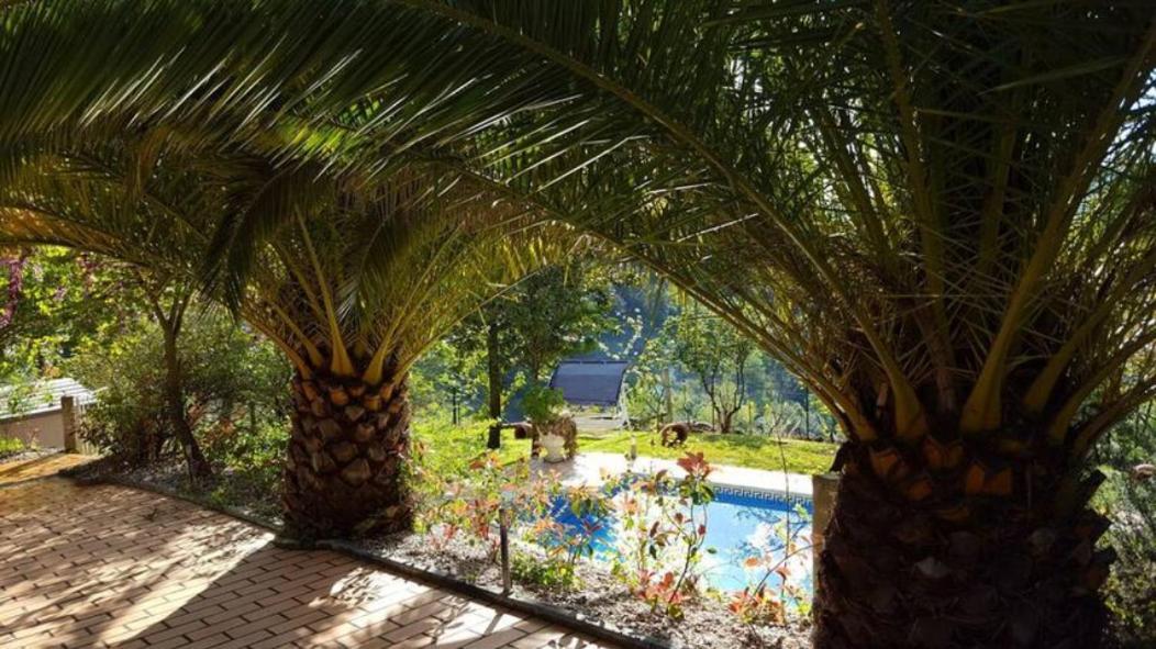 Casa Loureiro - Vista Rio Douro Villa Resende Bagian luar foto
