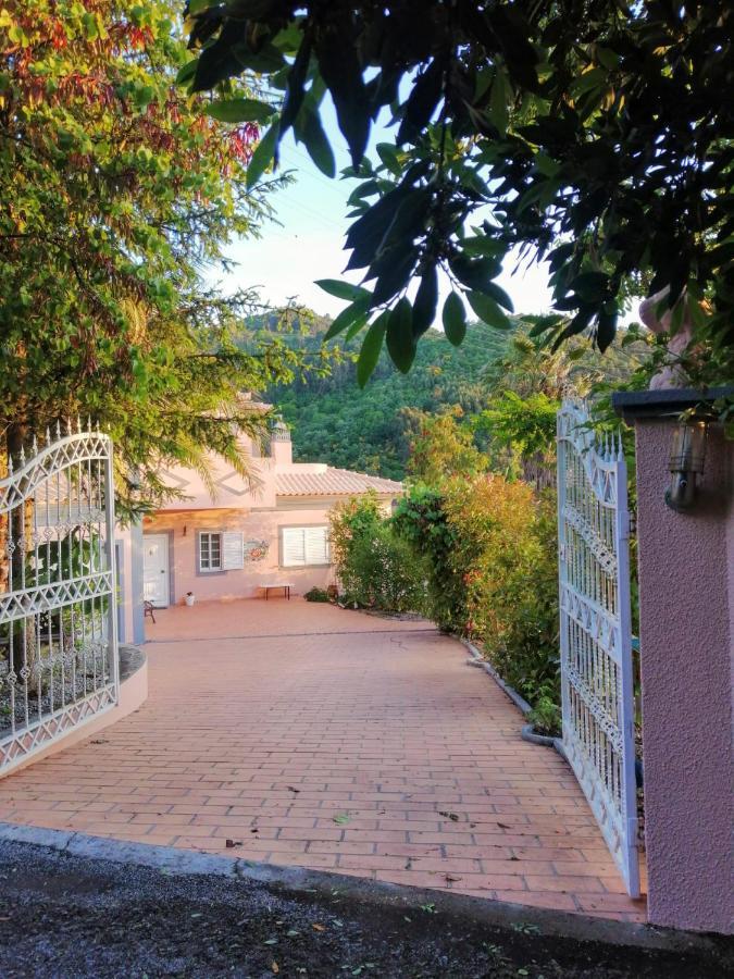 Casa Loureiro - Vista Rio Douro Villa Resende Bagian luar foto