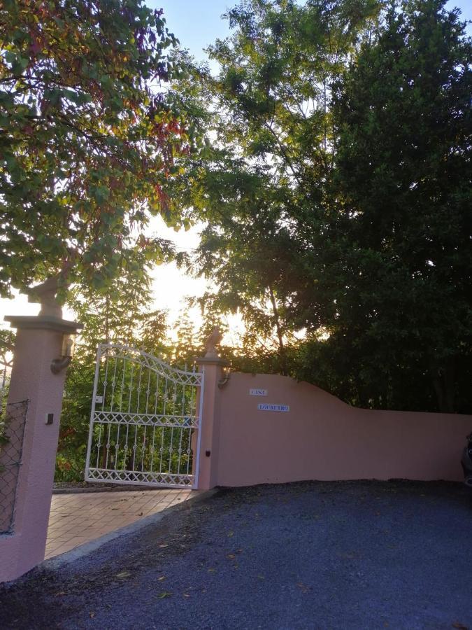 Casa Loureiro - Vista Rio Douro Villa Resende Bagian luar foto