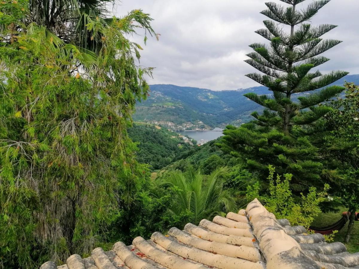 Casa Loureiro - Vista Rio Douro Villa Resende Bagian luar foto