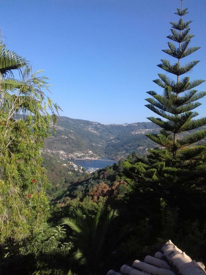 Casa Loureiro - Vista Rio Douro Villa Resende Bagian luar foto