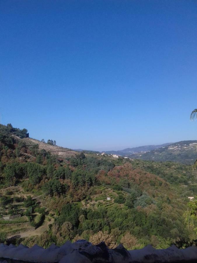 Casa Loureiro - Vista Rio Douro Villa Resende Bagian luar foto